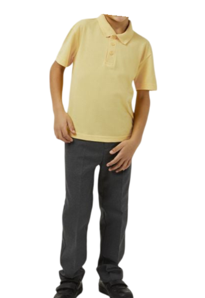 Standard Fit Short Sleeve School Polo Shirt Gold SU42